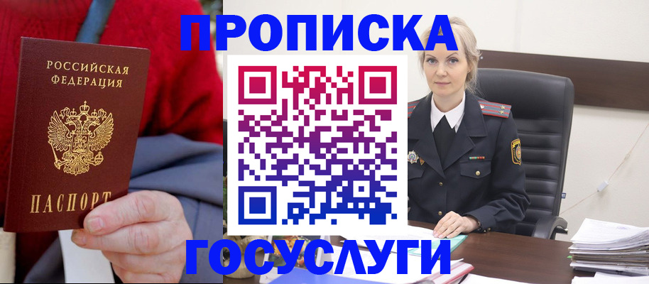 форма 3 в Новгородской области